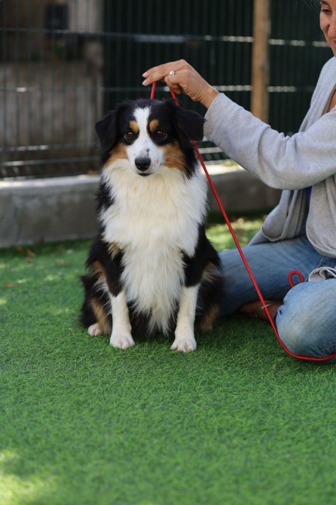 Very last chance des merveilles d'ilona